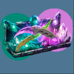 skin.club-Doppler Fight Case Case
